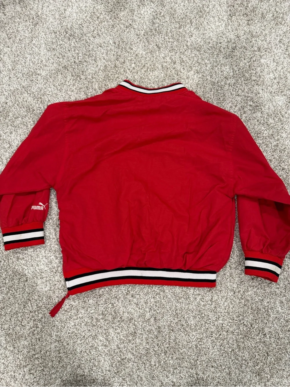 VINTAGE NHL DETROIT RED WINGS Embroidered Youth Windbreaker Jacket